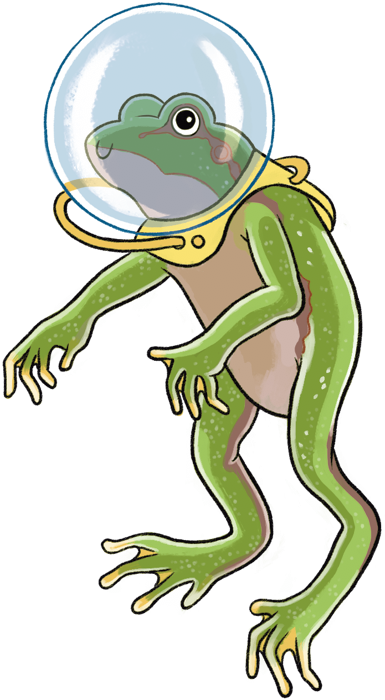 Grenouille avec scaphandre illustration